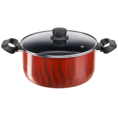 TEFAL قدر طبخ 26 سم | Tempo Flamme | 6.5 لتر | ألومنيوم | طلاء غير لاصق آمن | غطاء | متوافق مع الموقد | وصفات الطهي البطيء | أحمر | صنع في فرنسا | ضمان لمدة سنتين | C3045285